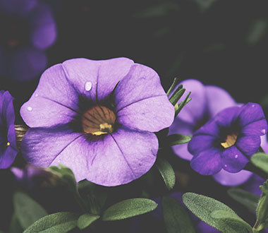 【故障排除】可靠的手机攻击器APP下载